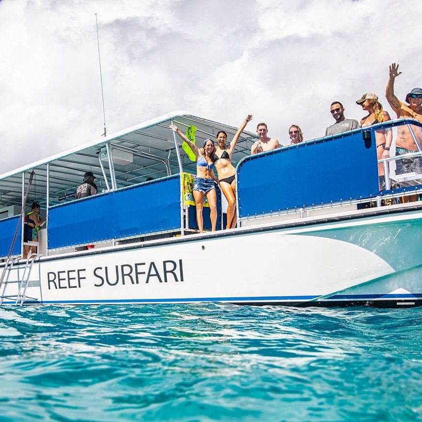 reef surfari os snorkel adventure