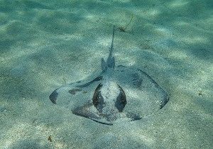 St John boat excursions