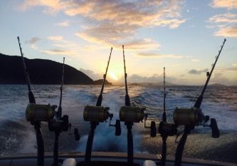 overnight snorkeling