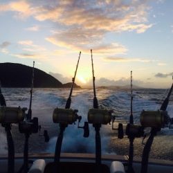 overnight snorkeling